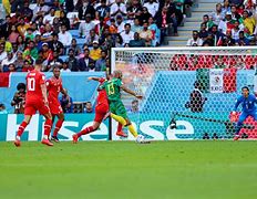 埃卡尔进球撤没双貂为，齐多头羊建阿尔米